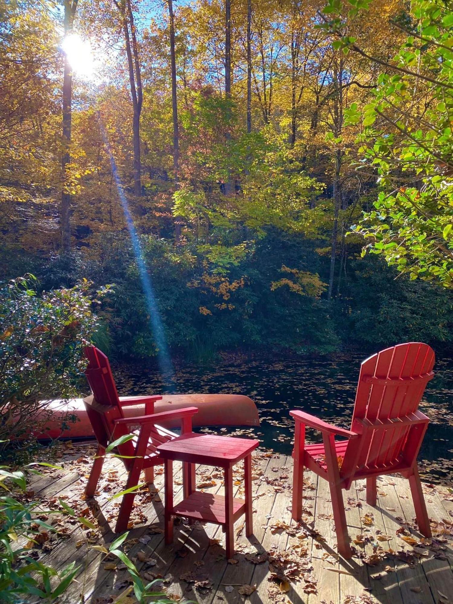 Penzion Hideaway At Harvest Moon Sylva Exteriér fotografie